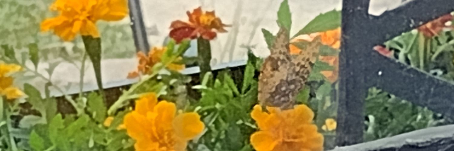 Eva (writes stuff) banner