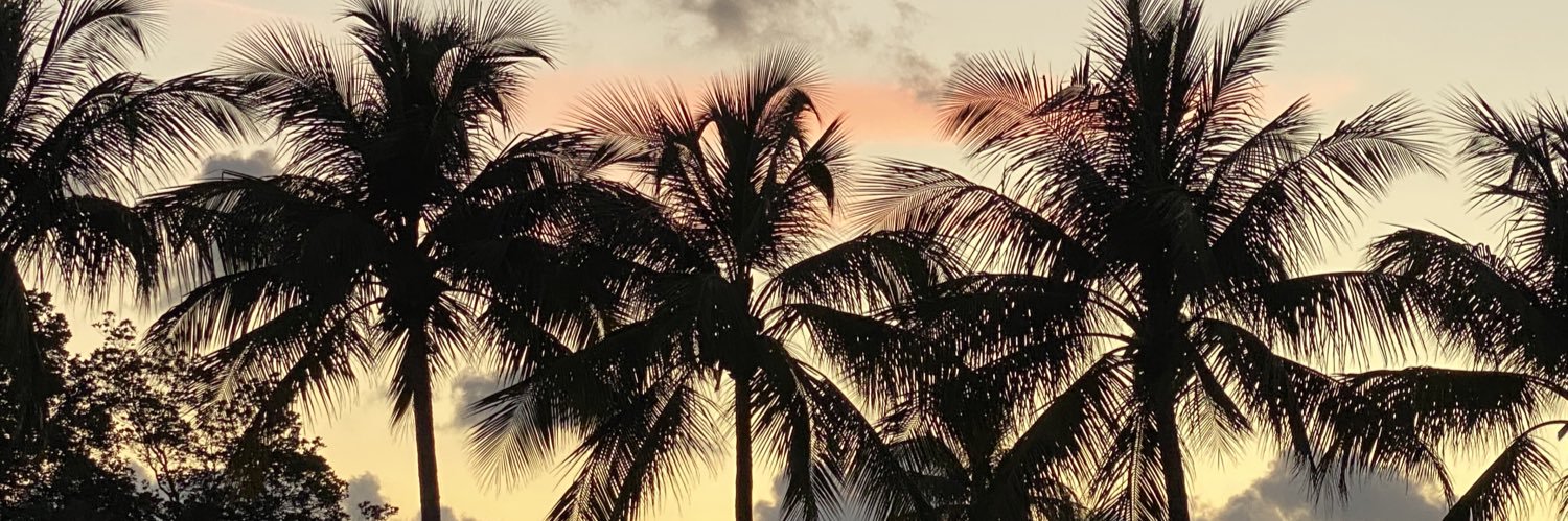 RJCIIINH's profile banner image