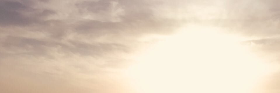 bija_n's profile banner image