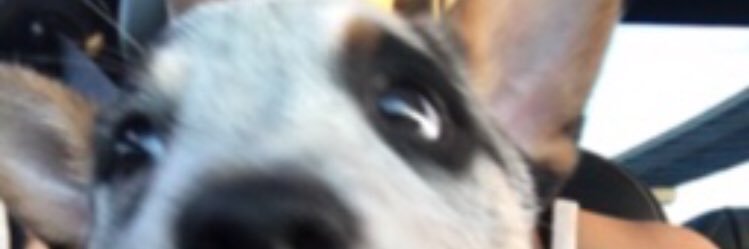 fourtwentyypm's profile banner image