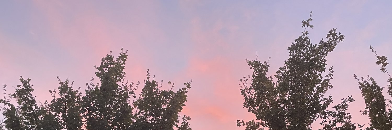 waluigi92i's profile banner image