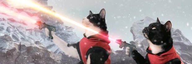 Fuquanite's profile banner image