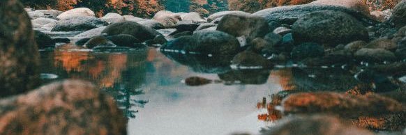 mtholmstead's profile banner image