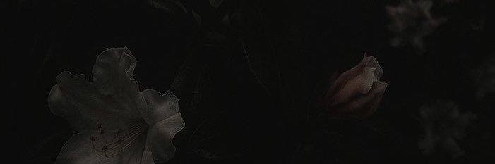quieet_'s profile banner image