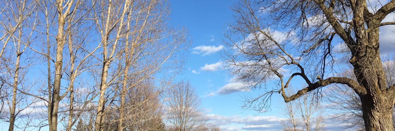 bank_adams's profile banner image