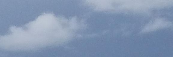 Raul Martinez banner