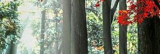 osopa1's profile banner image