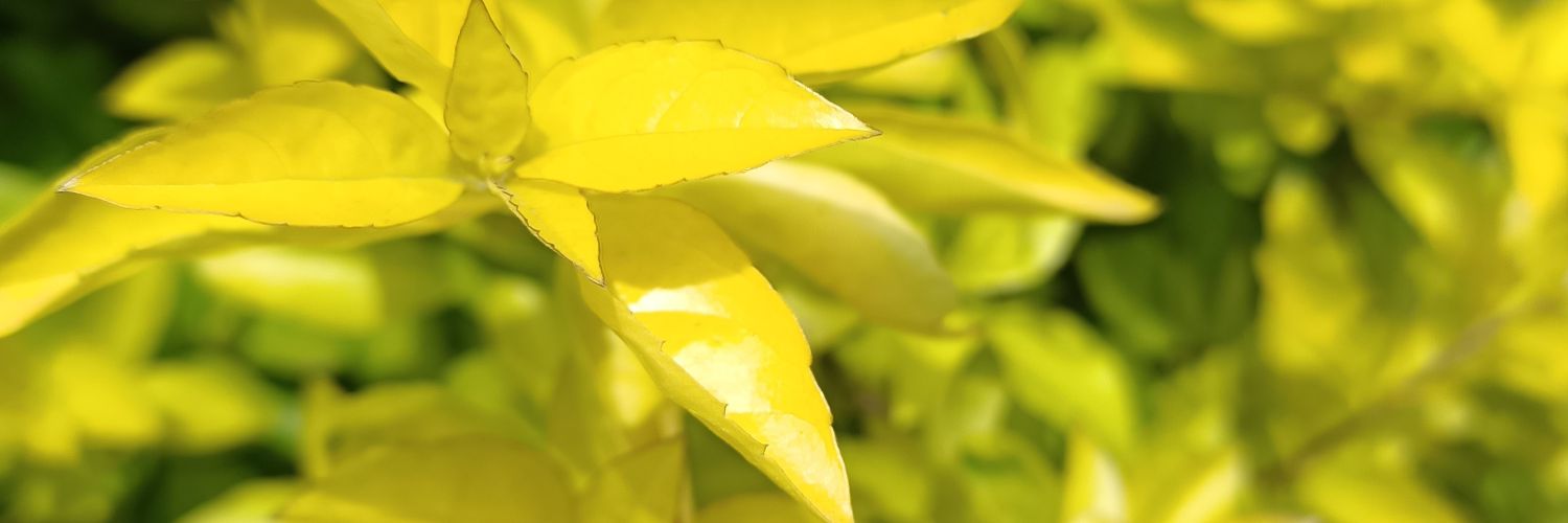 NandakumarVign1's profile banner image