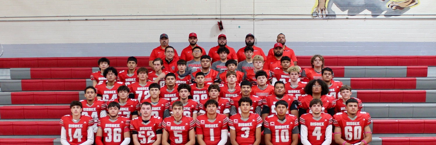 BisbeeCoachLos's profile banner image