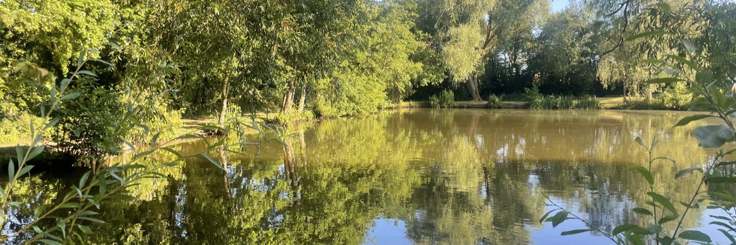 Adele Rose-Morgan banner