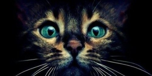 K_immc's profile banner image