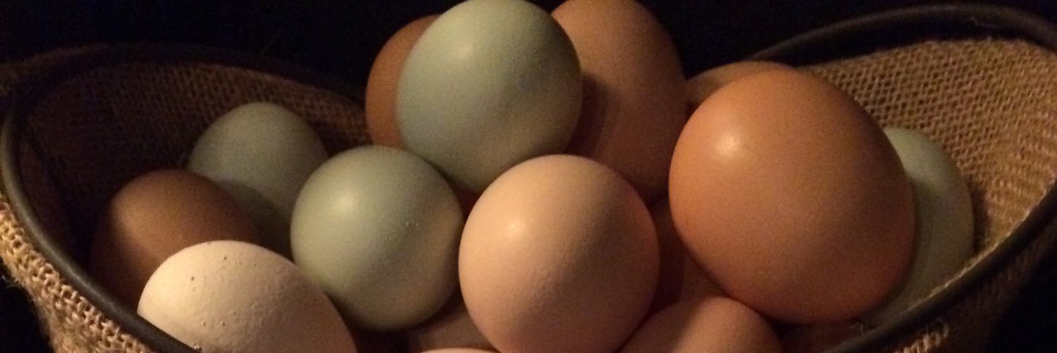 ChickenChirps's profile banner image