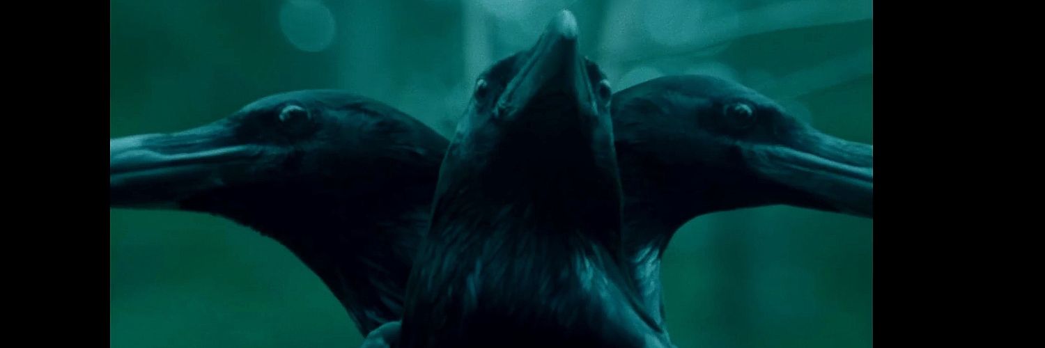 BelloBuki's profile banner image
