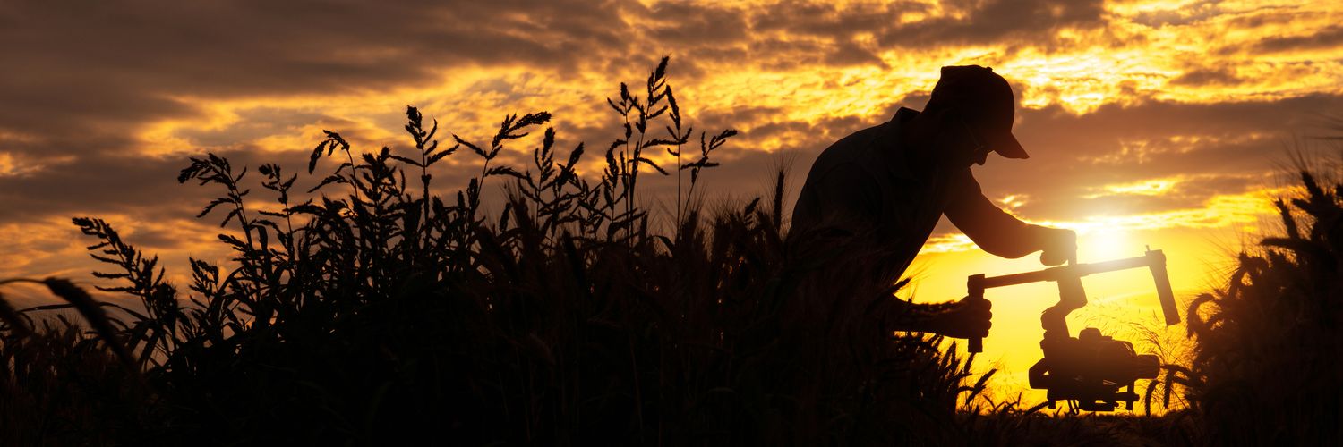 FinalPhaseFilms's profile banner image
