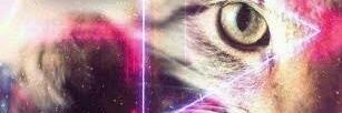 edycamus's profile banner image