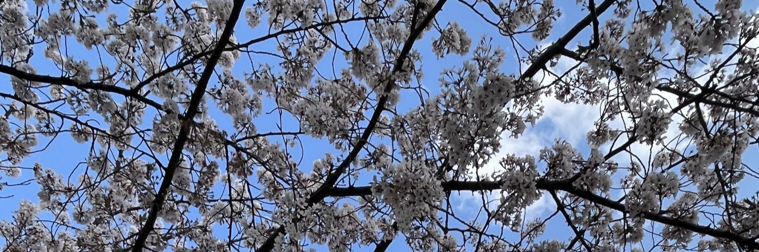p__urp__le's profile banner image