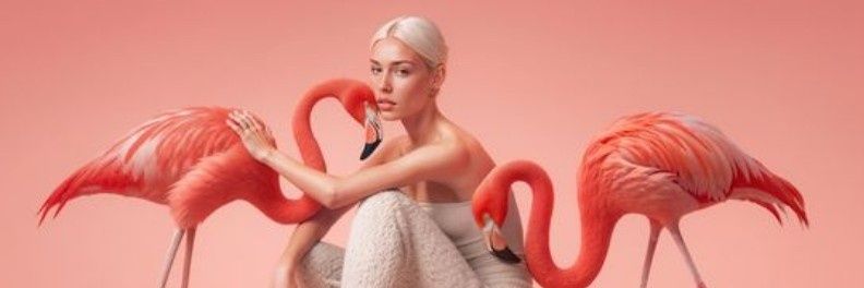 Club Flamingo🦩 ©️® banner