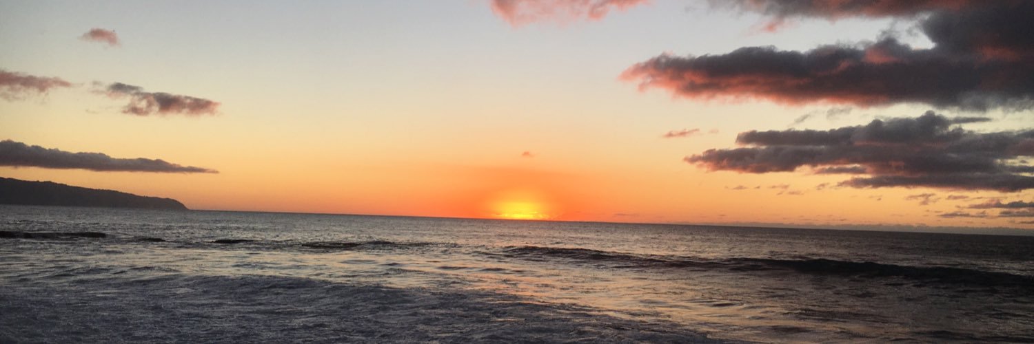 lizposerr's profile banner image