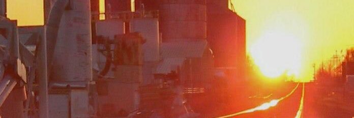 RoseShroyer's profile banner image