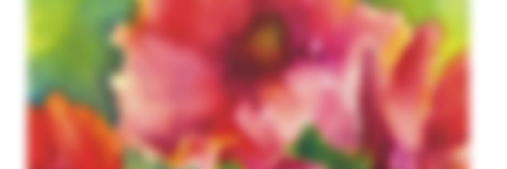 JackieColdrey's profile banner image