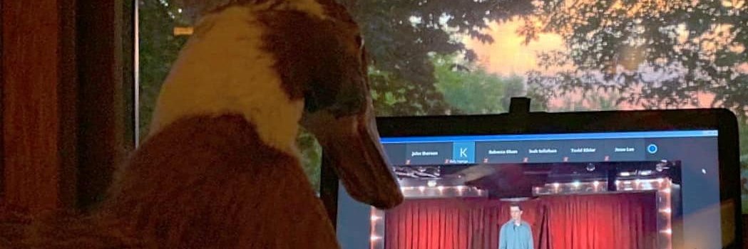 MicEarley's profile banner image