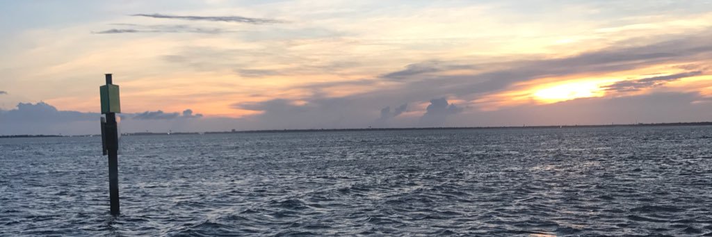 Mason Robinson banner