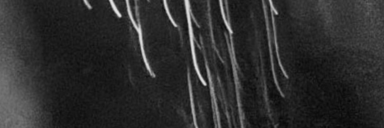ekb_11's profile banner image