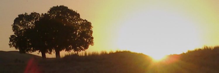 asaadsafar1's profile banner image