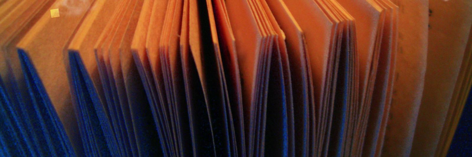 Jill Eggleton banner