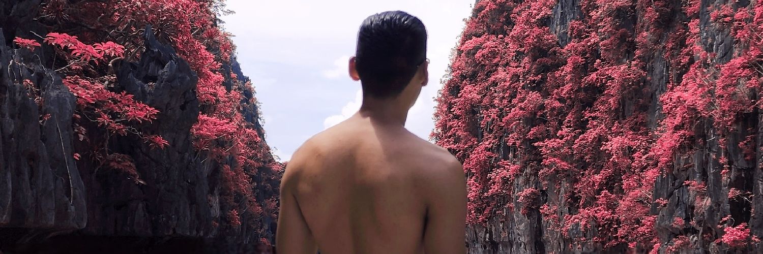 Kaiser Castro banner