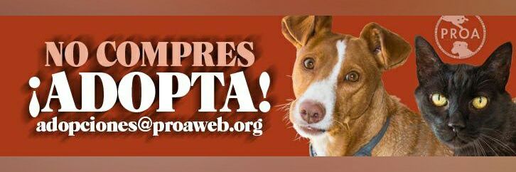 Protectora Proa banner