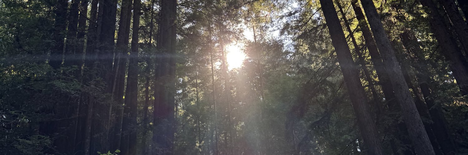 eastofthetank's profile banner image