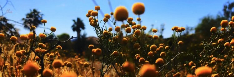 HaydnDenis's profile banner image