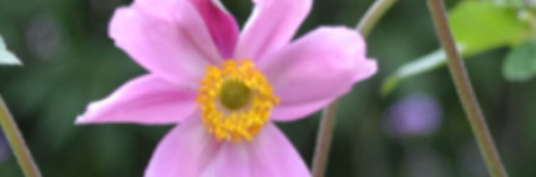 debzer01's profile banner image