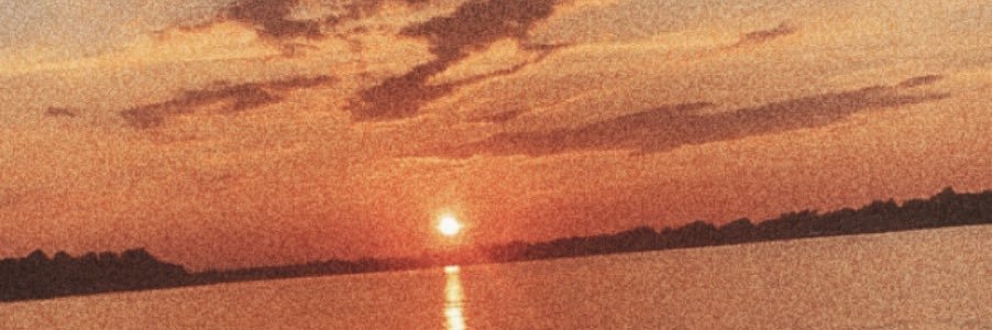 CarolineLance's profile banner image