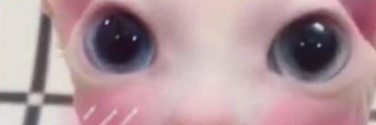 slothyoon's profile banner image
