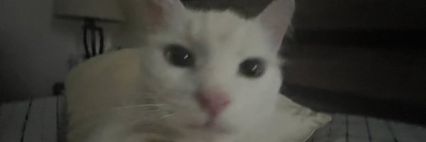 JayCweations Profile Banner