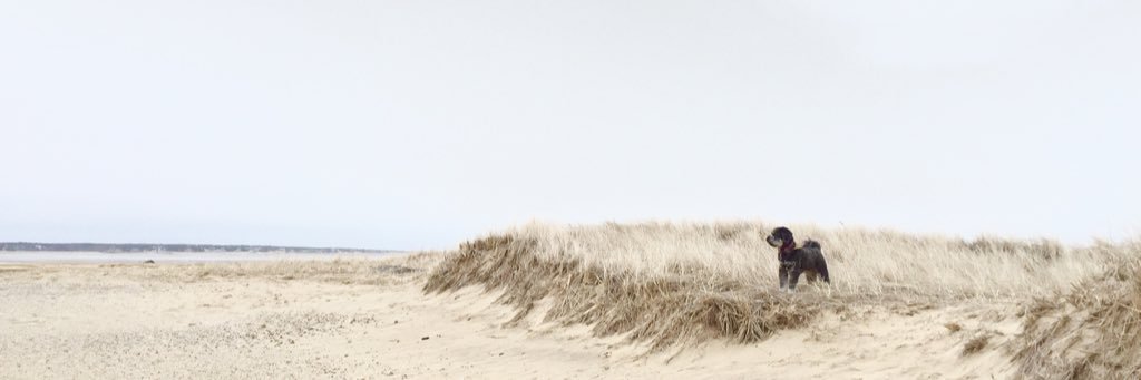 khendrickson90's profile banner image