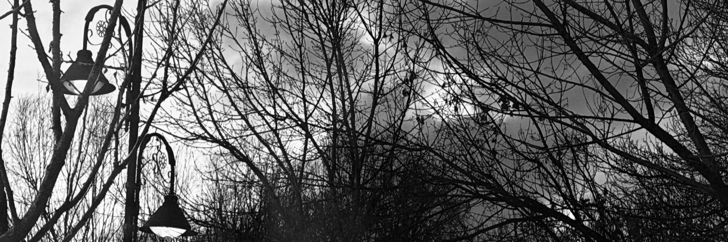TheLadyDress's profile banner image