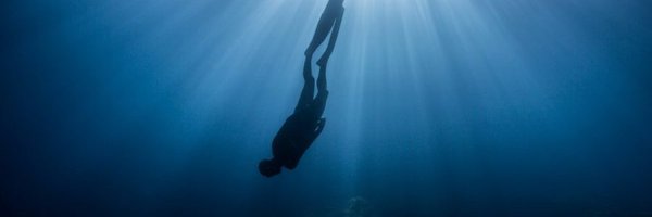 ElizabethDampf Profile Banner