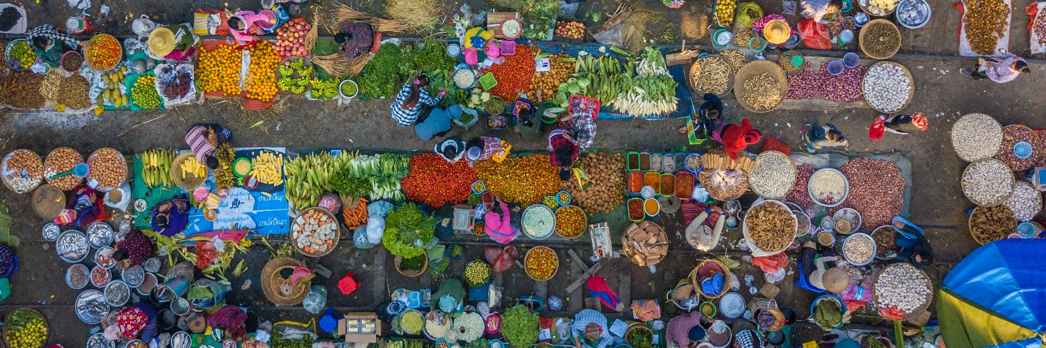 IFPRI South Asia banner