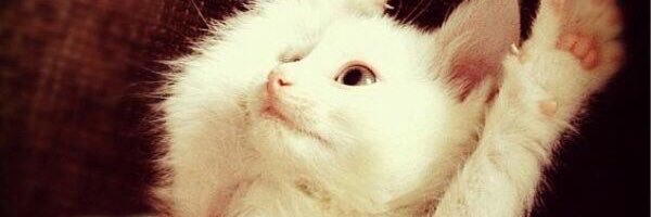 AlexaSmithxox's profile banner image
