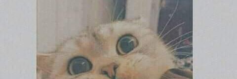 DmLdLrS's profile banner image