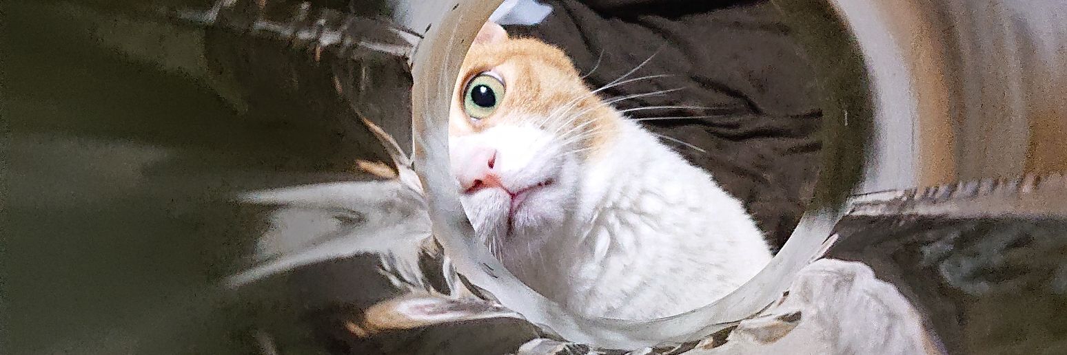Kotet_123's profile banner image