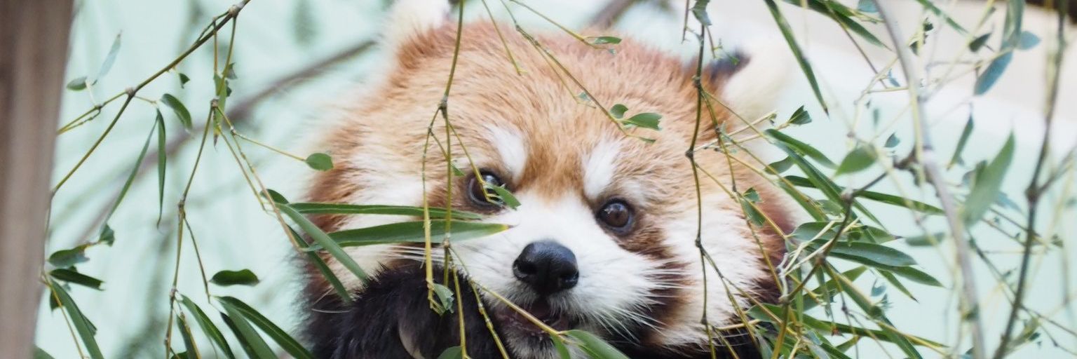 ___ma_channn's profile banner image