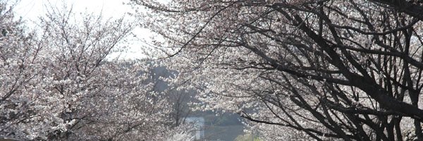 an_vo12 Profile Banner