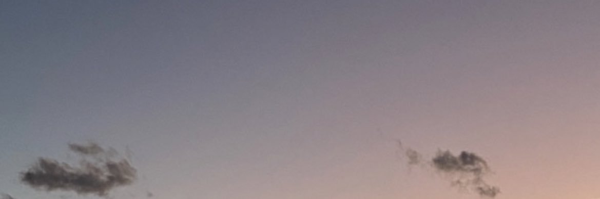 にゃん banner