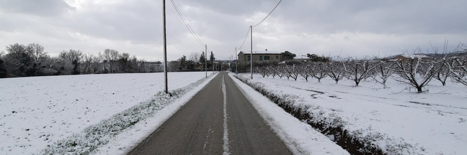 MiriamFusconi's profile banner image