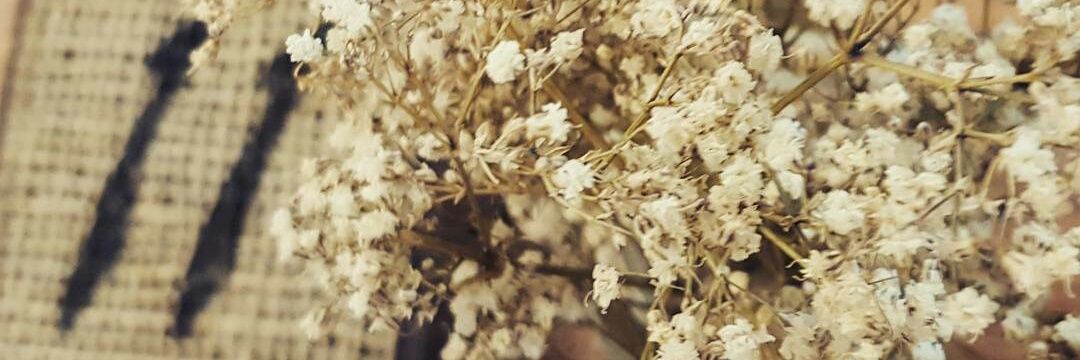 muse_write's profile banner image