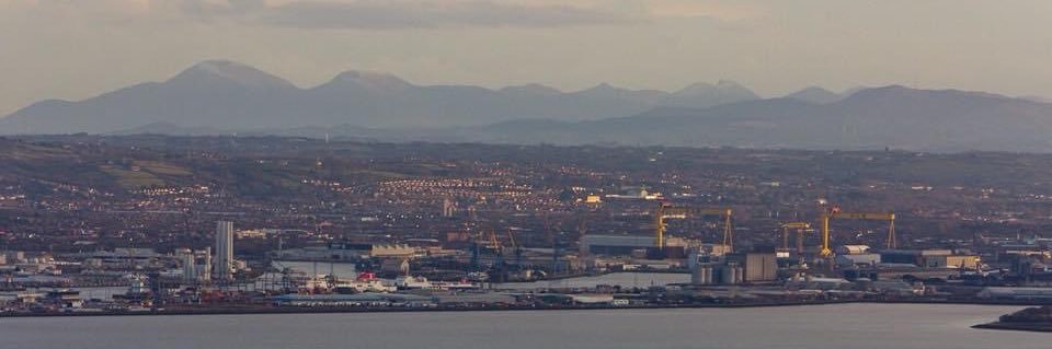 Danielle Shields banner